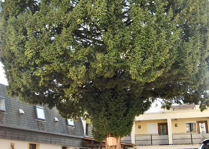 Le Thurot- Centre Gare